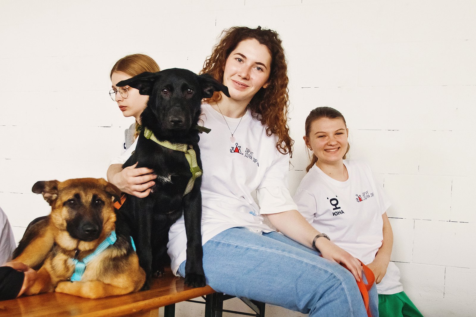 Выставка‑пристройство кошек и собак из приюта «Юна‑Фест»